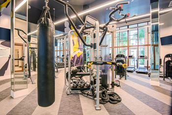 Fitness center strength and conditioning equipment